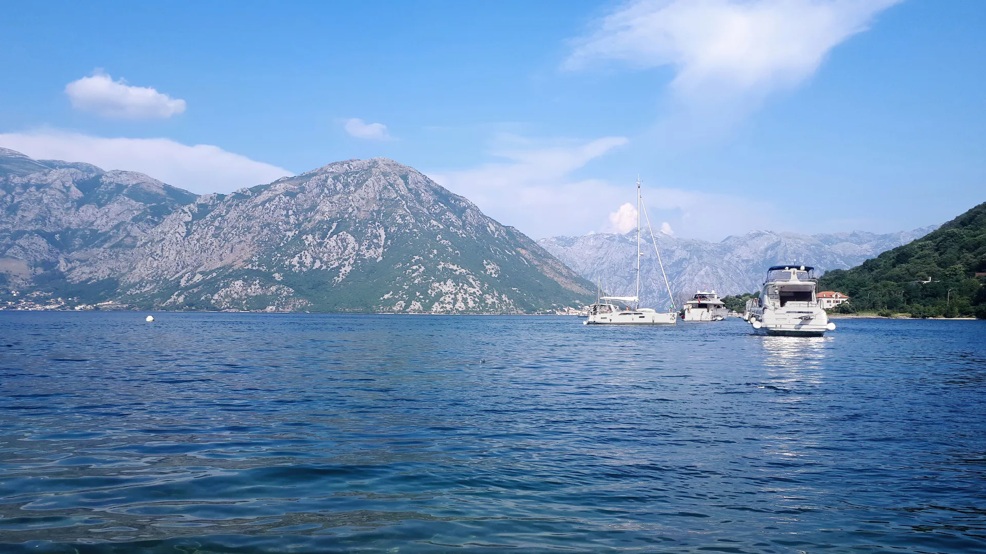 montenegrinisch Übersetzer — beglaubigte und Fachübersetzung Montenegrinisch